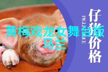 黄梅戏花田错