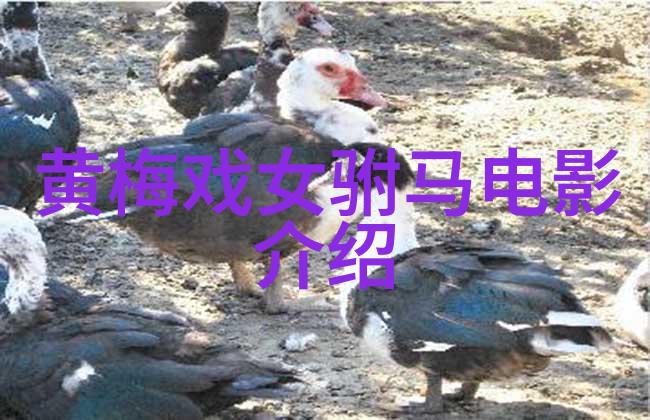 黄梅戏孟姜女