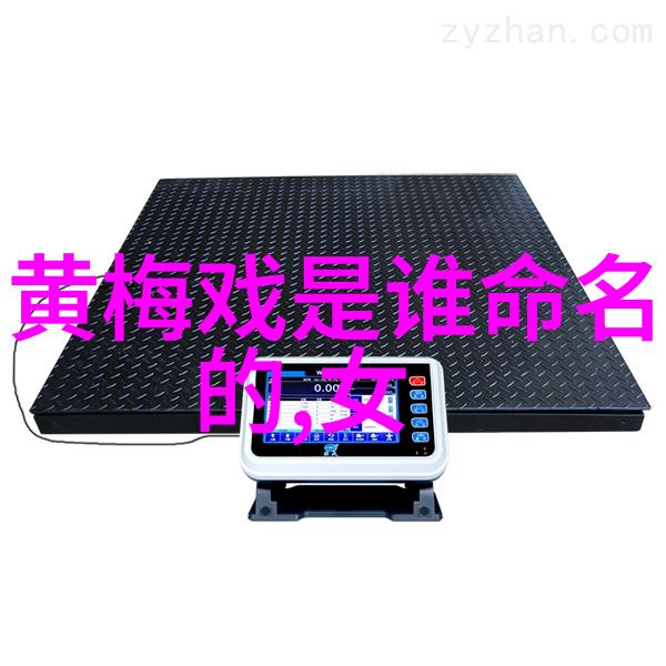 黄梅戏风雨丽人行启动