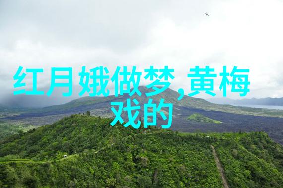 黄梅县黄梅戏剧院举行2021届黄梅戏学员学习成果展示暨内部考试