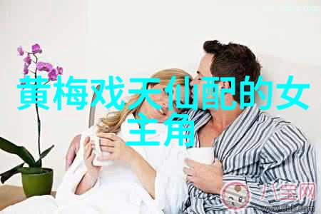 青春版红丝错1月1日至8日好人剧场演出