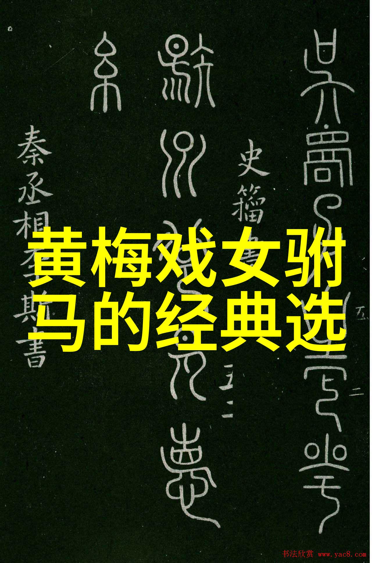 经典黄梅戏女驸马唱响海口