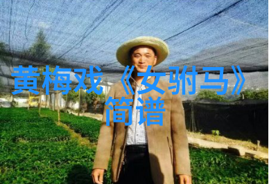 黄梅戏小乔与大乔