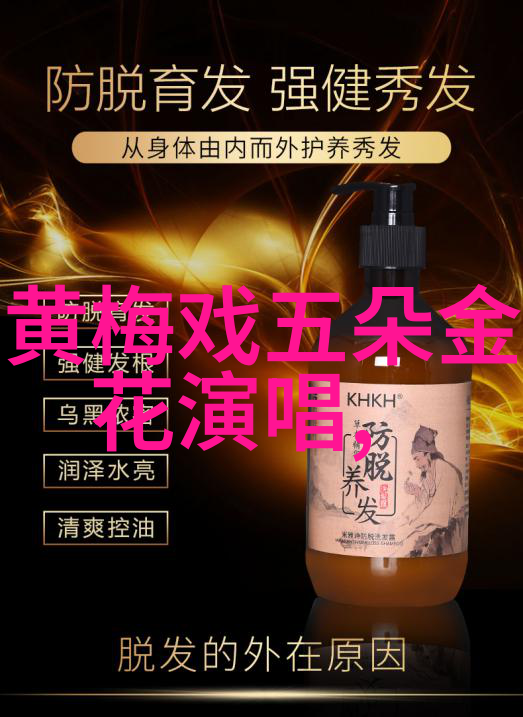 孙怀仁 黄梅戏旦行演员黄梅戏导演工作者 孙怀仁