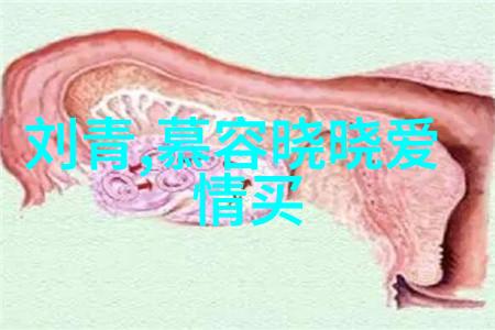 黄梅戏演员邬云介绍