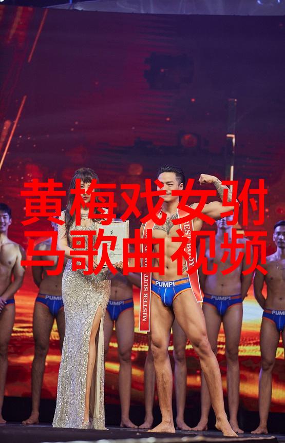 黄梅戏孔雀东南飞2003