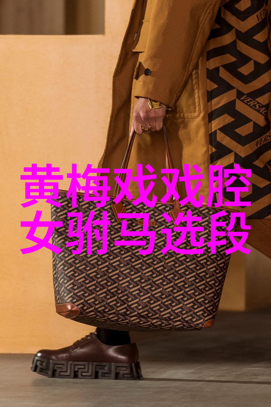 黄梅戏袁璞与荆凤