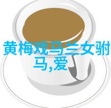 黄梅戏演员金菊介绍