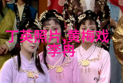 黄梅戏演员周珊介绍